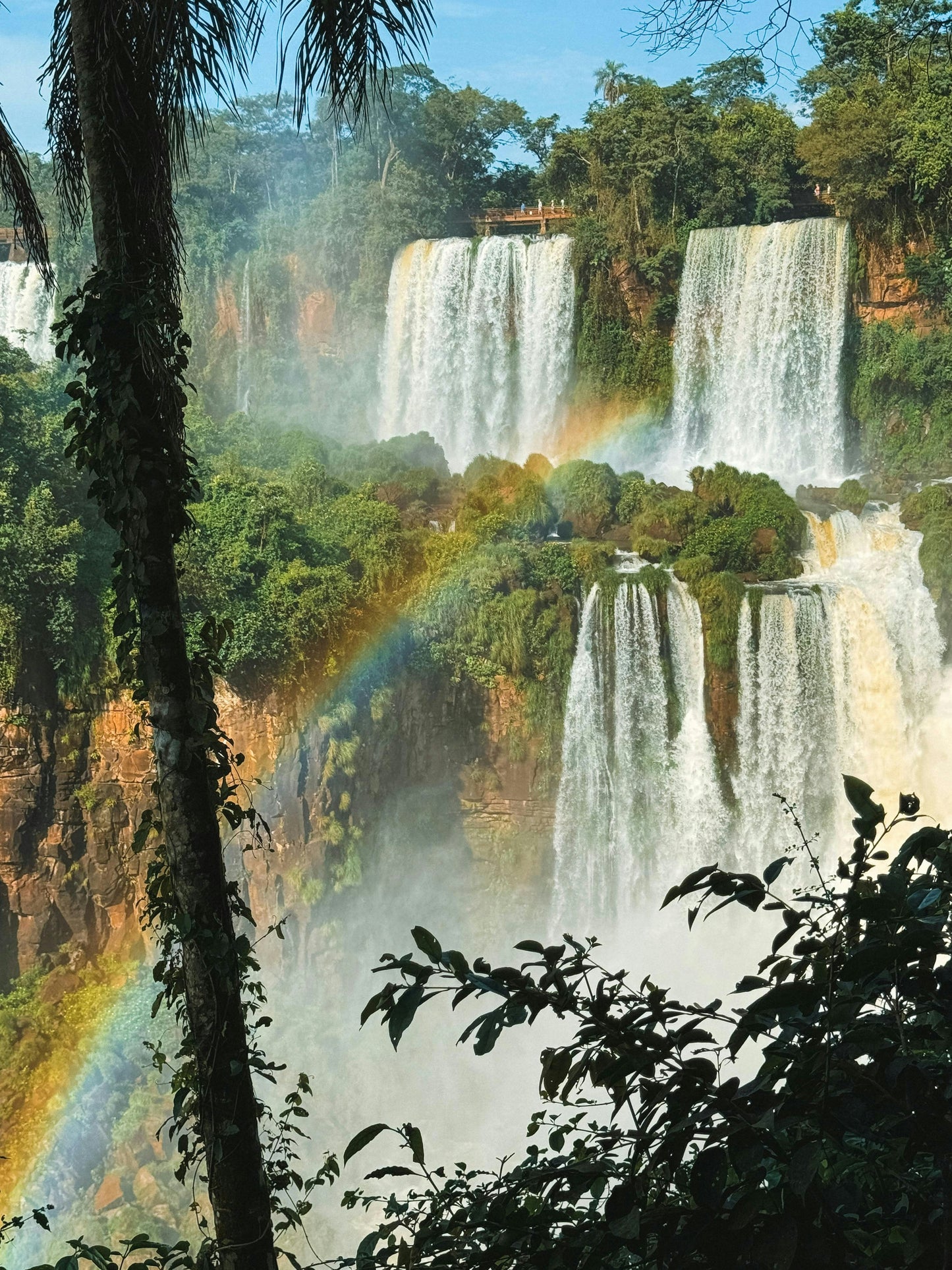 Regular Tour of Iguazu National Park