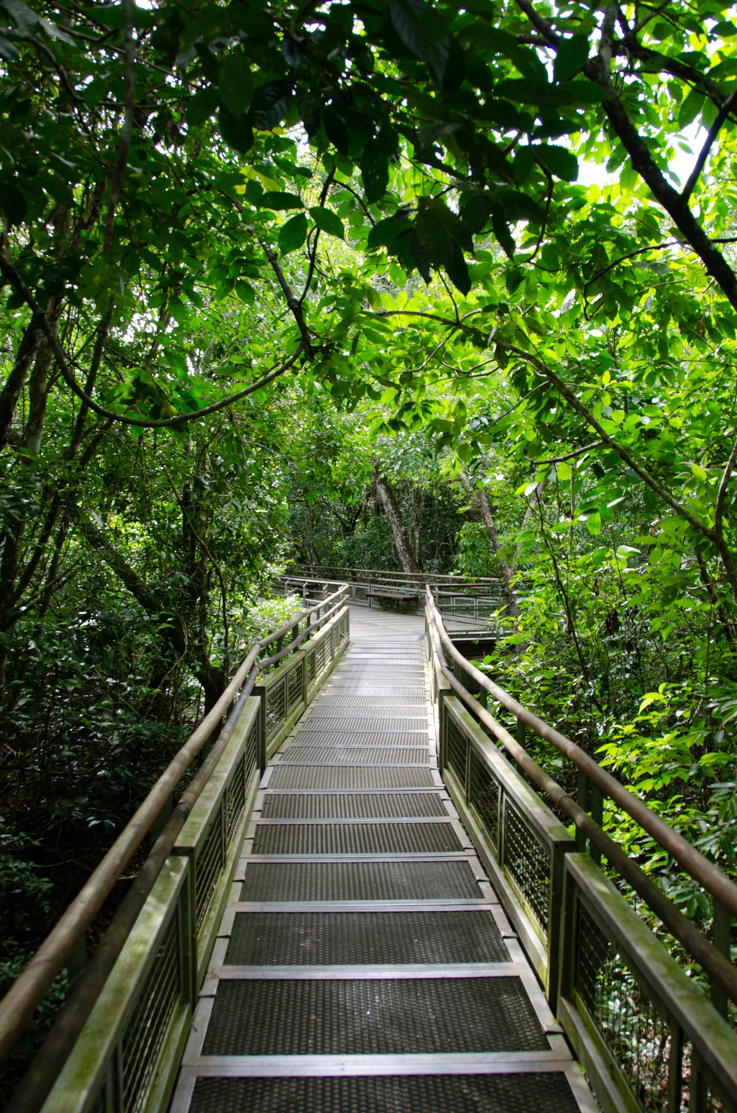 Regular Tour of Iguazu National Park