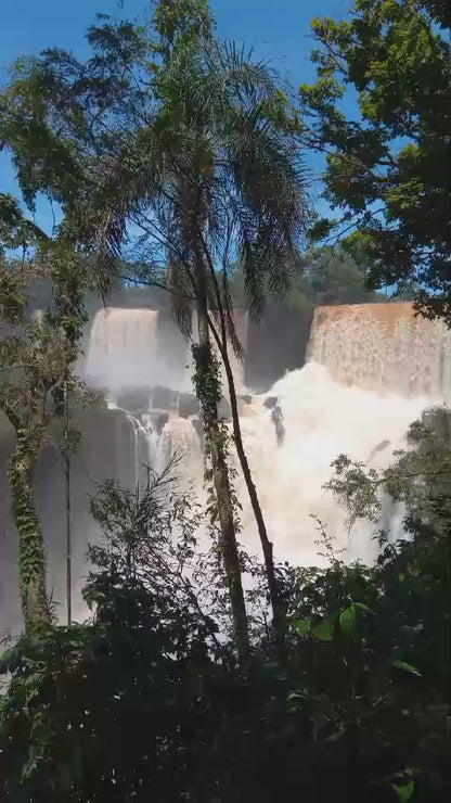 Regular Tour of Iguazu National Park