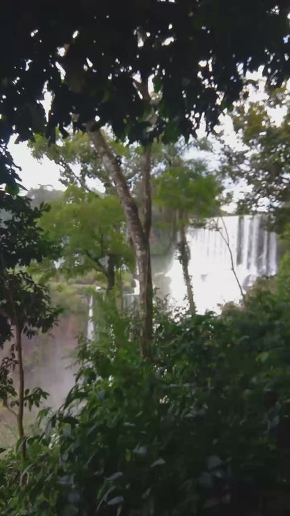 Regular Tour of Iguazu National Park